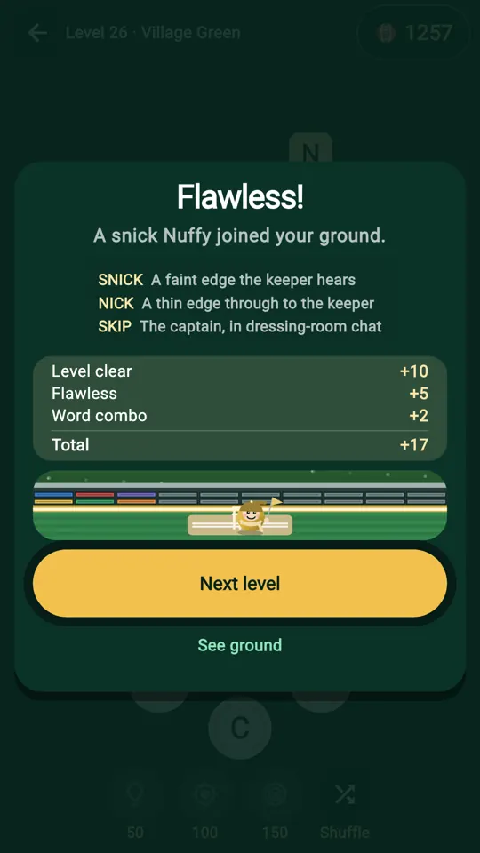 The Flawless level-clear screen: A snick Nuffy joined your ground. Notes for SNICK, NICK and SKIP, then Runs for the level clear, Flawless and word combo, totalling 17.
